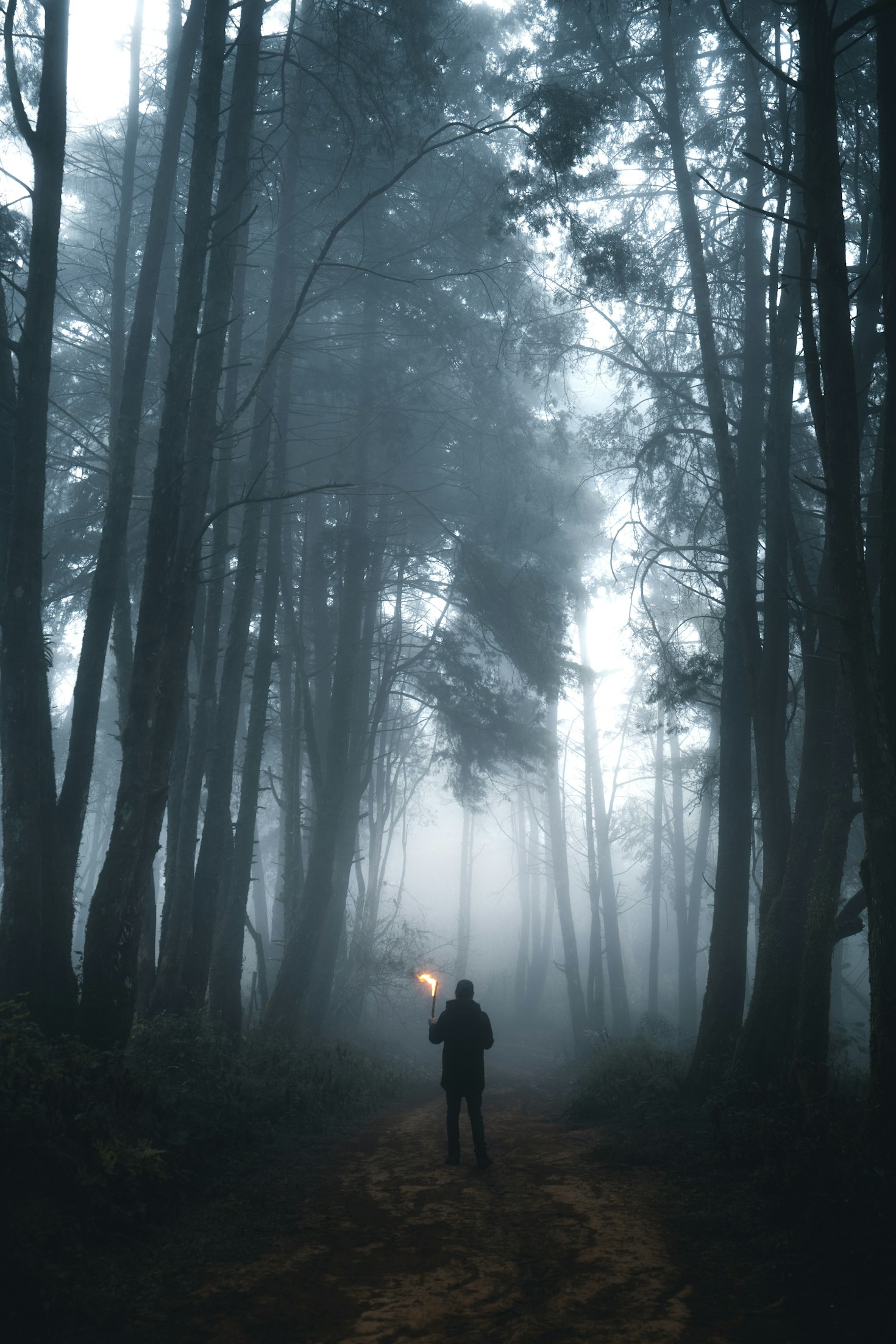 Exploring the Human Condition with Creative Works